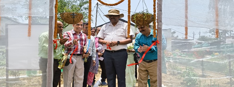 Krishi Vigyan Kendra Kalahandi